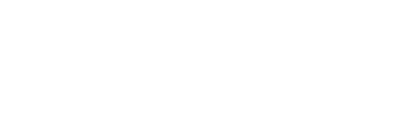Doodle Labs Logo